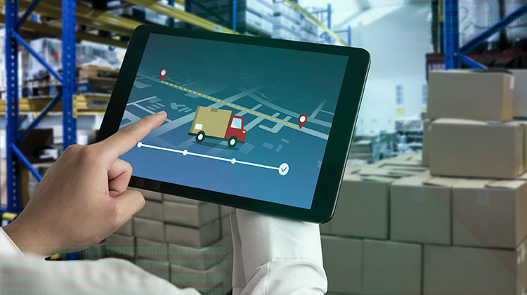 How Supply Chain Management Software Transforms Modern Businesses